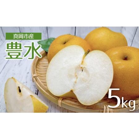 ふるさと納税 真岡市産  豊水 梨 5kg 栃木県真岡市