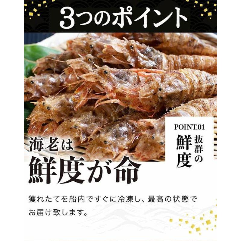 ますよね えび エビ 海老 オニエビ (鬼神エビ) 750g (オニエビ ゴジラエビ) 海老 えび 鬼神えび 鬼神海老