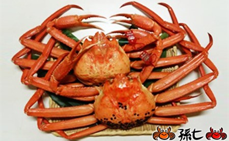 紅ズワイガニ約1kg×2尾（孫七タグ付）