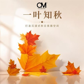 OM視覺 秋季櫥窗裝飾擺件楓葉創意 展廳商場美陳陳列dp點場景布置