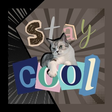 Stay Cool 客製化寵物藝術畫