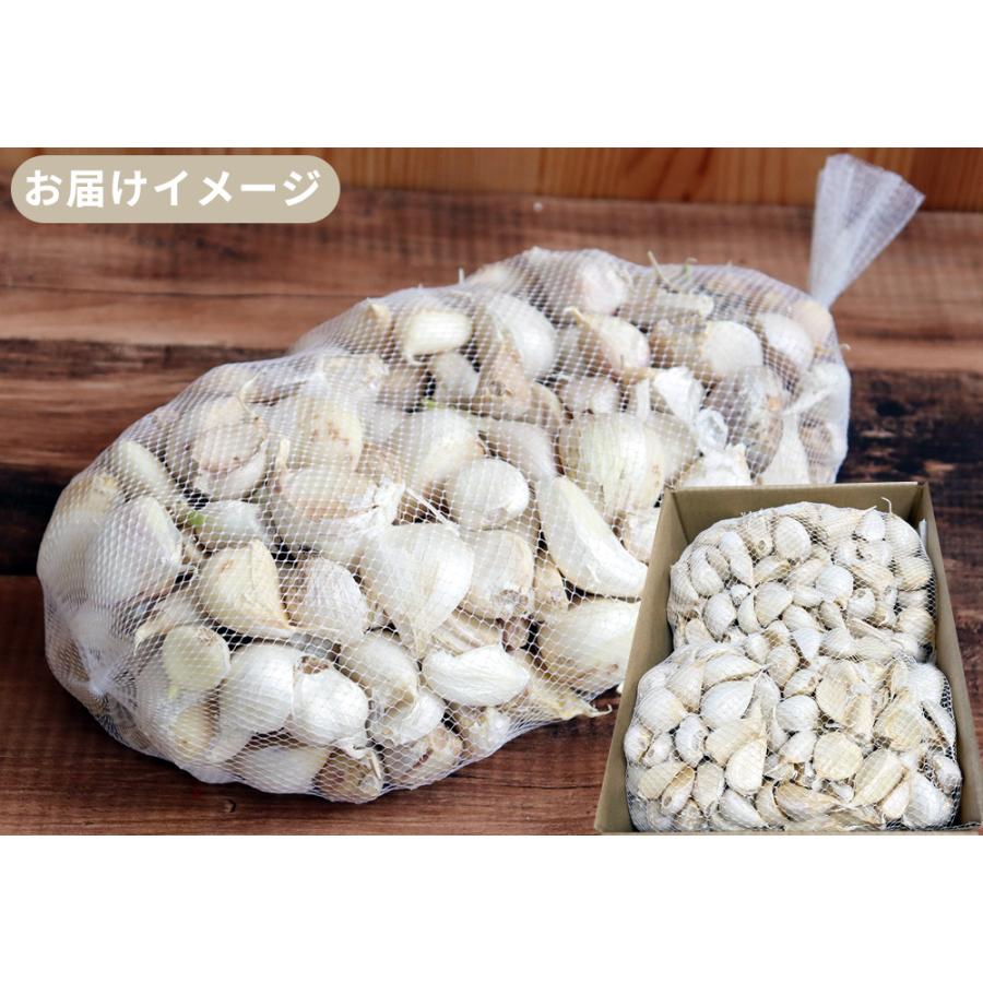 にんにく 青森県産 訳あり 3kg バラ詰め 送料無料 2023年度産 [産地直送のため他商品と同梱不可]