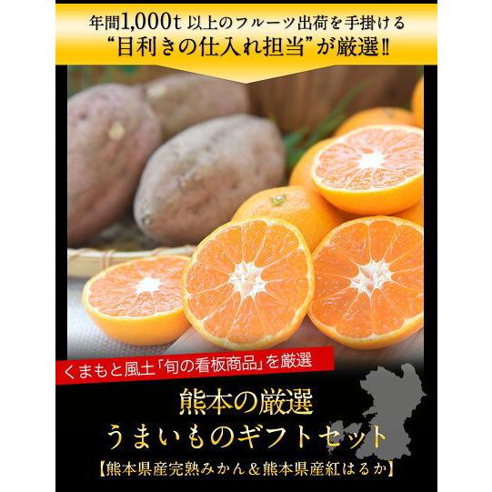 お歳暮 ギフト 九州の厳選うまいものギフトセット 完熟みかん 紅はるか 送料無料 果物 フルーツ ギフト 贈答用 11月下旬〜12月中旬頃より発送予定