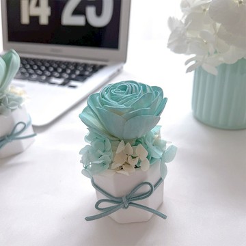 Floral M｜法國鄉村玫瑰永生香氛擴香花 藍綠漸變（贈送5ml精油）