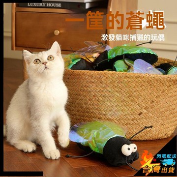 【台灣出貨】貓玩具 貓自嗨玩具 解悶神器 仿真布藝 貓咪磨牙玩具 貓薄荷鈴鐺 逗貓棒 寵物玩具 貓用品