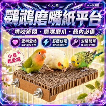【現貨】鳥類紙板平台 鸚鵡啃咬玩具 可掛籠紙板平台 鸚鵡休息 解悶玩具 虎皮 玄風 牡丹 鸚鵡用品 鳥籠造景 磨牙潔齒