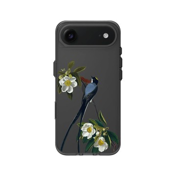 iPhone Air Clear (相機按鈕) 酷墨灰 - The British Library - 美洲鳥譜 ‧ 叉尾霸鶲