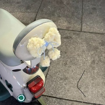 ✨ 壹灣出貨 ✨ 可愛電動車裝飾蝴蝶結車頭掛件毛絨掛飾遮擋划痕三輪車改造小配件