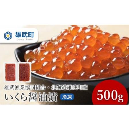 ふるさと納税 いくら醤油漬（冷凍）250g×２ 北海道雄武町