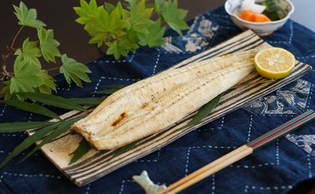 うなぎ 浜名湖産 鰻の 白焼き 約140g × 2匹 国産 