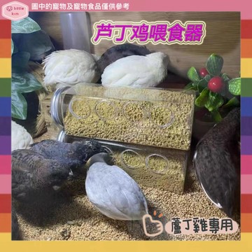 蘆丁雞 寵物餵食器 蘆丁雞餵食器 自動小雞食盒 食槽 食盆 食罐 迷你雞飼料盒 下料飲水飲%正品