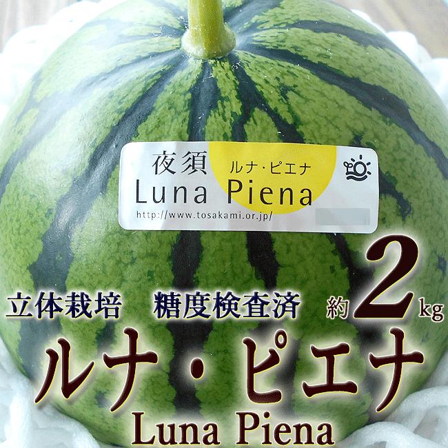 すいか ルナ・ピエナ 高級すいか 高知県夜須町産 約2kg 糖度検査済 送料無料 土佐の高級すいか  ギフト プレゼント 西瓜 スイカ お歳暮