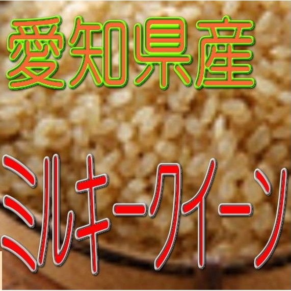 玄米 ミルキークイーン 5kg 令和4年産 愛知県産