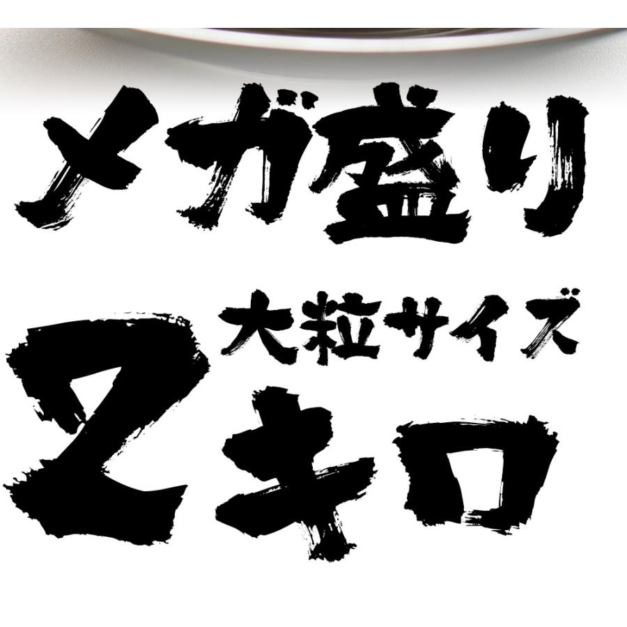 訳あり 生ほたて貝柱 2kg 大玉 ほたて ホタテ 帆立 生食用 刺身用 在宅応援 お歳暮 ギフト 海鮮グルメ 北海 母の日 父の日 敬老