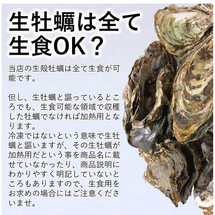 生食 OK カキ みちのく三陸産 殻付き生牡蠣 2kg 今季初出し 希少 ワケあり 亜鉛の摂取源No.1 新鮮 石巻 宮城 産地直送 ミネラル アミノ酸 タウリン セール 海鮮