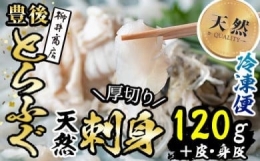 ＜数量限定＞天然とらふぐ刺身 (約120g) 皮・身皮 (約50g) 