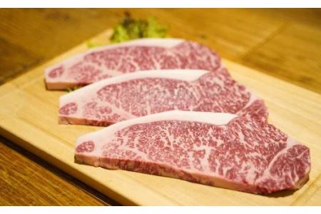 知多牛焼肉カルビ450g　サーロインステーキ200g×3枚