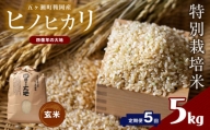  特別栽培米 四億年の大地米（ヒノヒカリ玄米） 5kg×5回