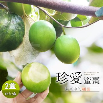 【產地直送】燕巢甜蜜爽脆珍愛蜜棗禮盒16入裝x2盒(單顆4-4.9兩)