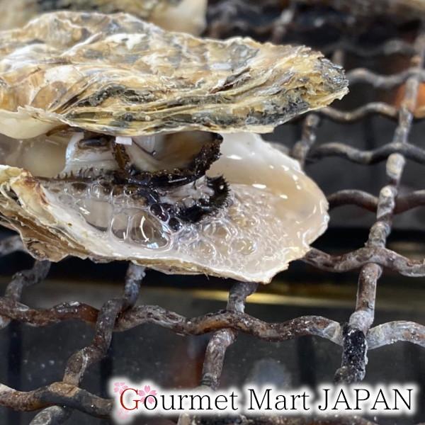 牡蠣 生食用 カキ 殻付き マルえもん[3Lサイズ]20個セット 北海道厚岸産 お取り寄せ グルメ お歳暮 年末年始 お正月