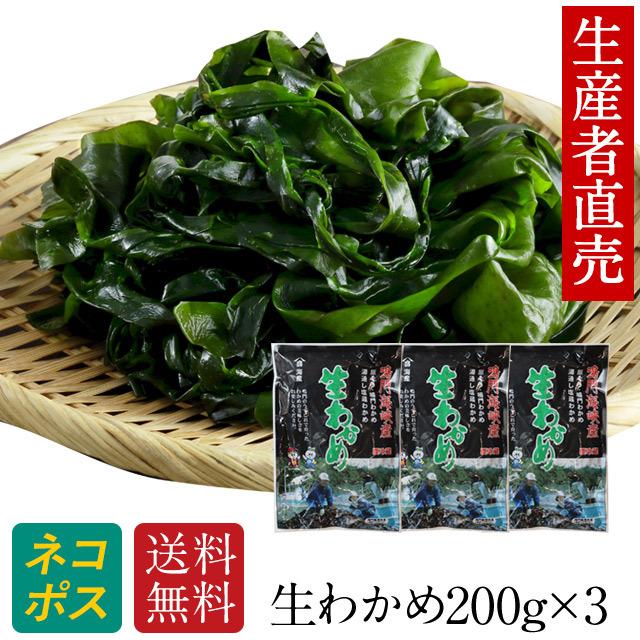 わかめ 生わかめ 国産 200g×3 鳴門海峡 鳴門わかめ 塩わかめ 徳島 生 ワカメ 国産わかめ 塩蔵わかめ 塩蔵ワカメ 海藻サラダ 美味しいもの