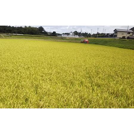 ふるさと納税 はなまる農園令和5年新米香川県産「コシヒカリ（玄米）30kg」 令和6年1月配送 香川県東かがわ市