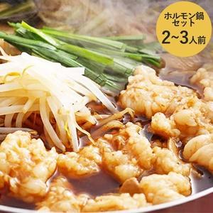 ふるさと納税 『兵庫県産黒毛和牛』新鮮野菜で食べるホルモン鍋セット2〜3人前 兵庫県加西市