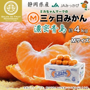 [予約 2024年2月中下旬から発送] 三ケ日みかん 青島 濃蜜青島 約 4kg Mサイズ 静岡県産 産地箱 濃密青島 JAみっかび 三ヶ日みかん 青島み