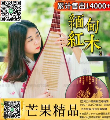 ?限時8折?琵琶 紅木琵琶 樂器 初學者 入門 自學 成人 兒童 花梨木 演奏 民族樂器 考級 琵笆【規格齊全 可打