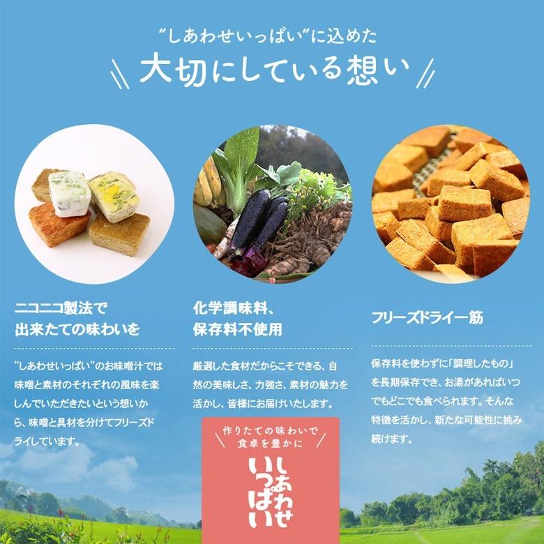 フリーズドライ 味噌汁 10種類 詰め合わせ(10食入り) お味噌汁 みそ汁 野菜 コスモス食品 インスタント メール便 送料無料