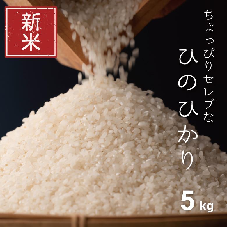 新米 米 お米 5kg ちょっぴりセレブなヒノヒカリ 国内産 令和5年産 精米5kg ひのひかり