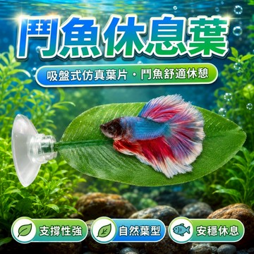 【台灣出貨】鬥魚葉｜鬥魚休息葉｜水族裝飾品｜魚缸裝飾葉｜水族造景