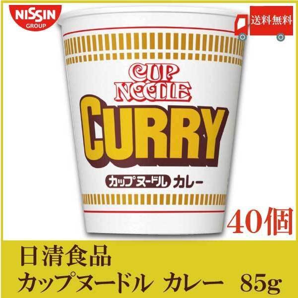 日清食品 日清 カップヌードル カレー 85g ×40個 (20個入×2ケース) 送料無料