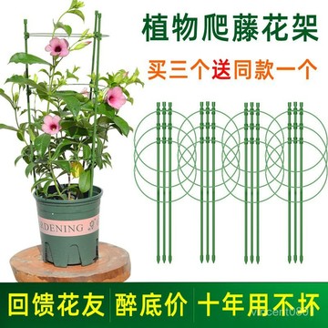 ✨好物優選✨爬藤花架園藝支柱架陽臺綠蘿月季鐵綫蓮藤本植物攀爬蟹爪蘭支撐桿 AQ7R