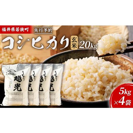 ふるさと納税 令和5年産福井県若狭町コシヒカリ（一等米）玄米 20kg