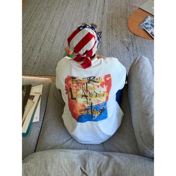 Saint Michael小丑印花美式休閑夏季復古純棉短袖男女寬松潮牌T恤