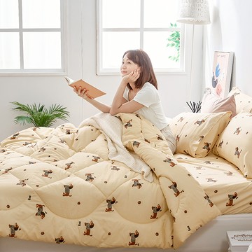 棉被 / Heat-Fi / 可水洗羽絲絨被 / 換衣狗勾 台灣製