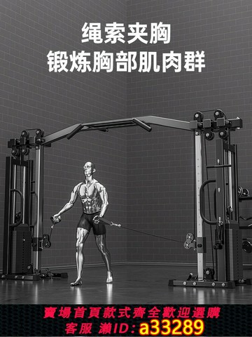 {可打統編 超低價}大飛鳥龍門架健身家用多功能器材商用單邊小飛鳥綜合訓練器械引體