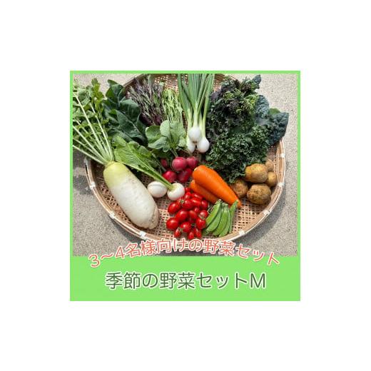 ふるさと納税 京都府 綾部市 京都府綾部市の季節の野菜セットM（3〜4名様分）農薬不使用 無農薬 新鮮 野菜 セット 詰め合わせ 京都 綾部 農家直送