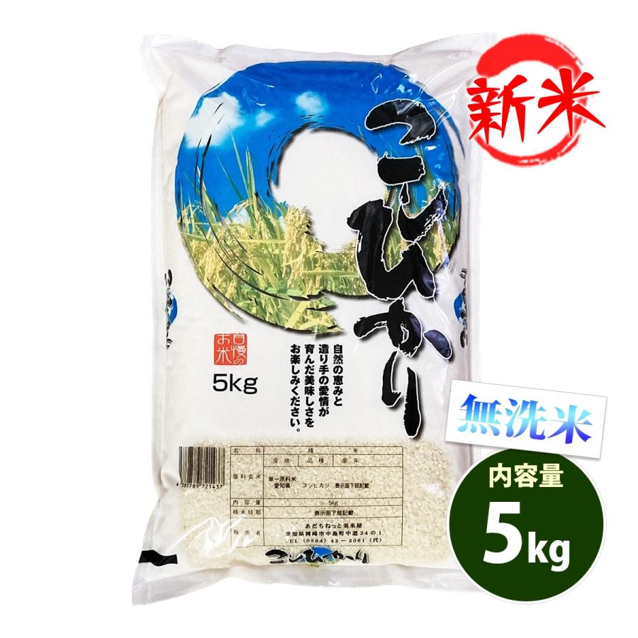 新米 無洗米 5kg 送料別 コシヒカリ 愛知県産 令和5年産 米 5キロ お米 あす着く食品