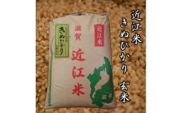 令和5年産 きぬひかり 玄米 30kg 近江米 新米 米粉 200g付