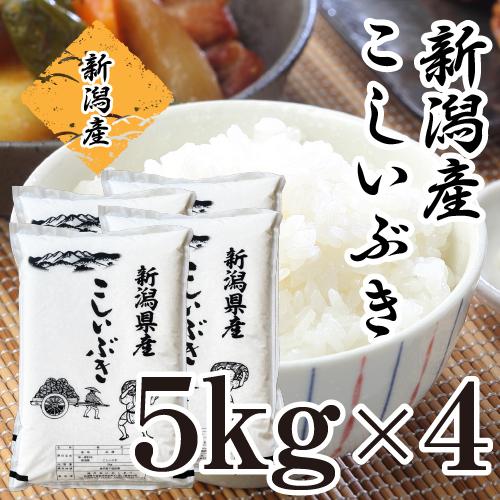 新米 20kg 新潟産 こしいぶき お米 20キロ 送料無料 令和5年産 5kg×4 白米 精米 あすつく 美味しい 新潟県産 おいしいお米 美味しい米 美味しいお米 単一原料