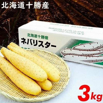 ランキングや新製品 r400 野菜