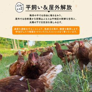 ふるさと納税 定期便 平飼い有精卵 滋賀竜王卵 30個×6ヵ月 滋賀県竜王町