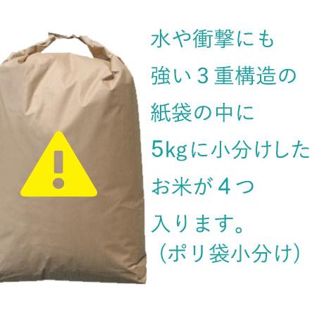 米 20kg 青森県産 4年産 特別栽培米 まっしぐら 白米20kg（5kg×4）  精米 人気 安い