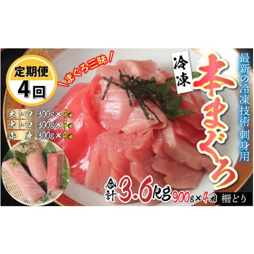 ふるさと納税 福井県 鯖江市 刺身用！本マグロ堪能セット（柵どり） 計 900g × 4回 [M-11004]