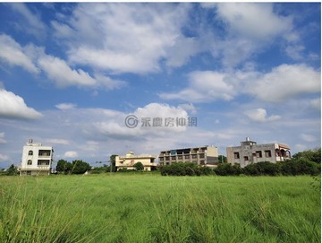 觀音廣大路旁大面寬農地～鄰路 可分筆買｜桃園市觀音區廣福段