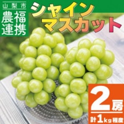 山梨県産 新品種の葡萄 バイオレットキング 2房 合計約1.2kg 送料無料