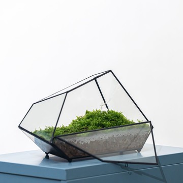 苔蘚建築－空靈的鹿