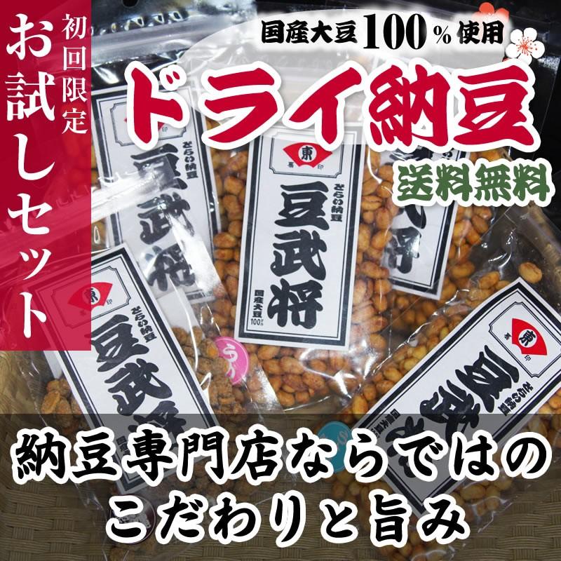 納豆 納豆菌 お菓子 たれ ドライ 乾燥 ドライ納豆 豆武将 お試しセット メール便